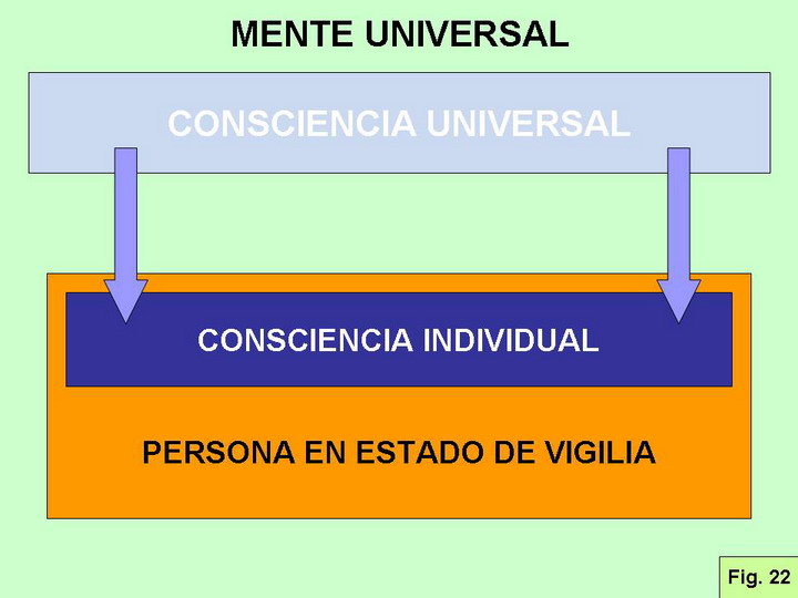 FIGURA 22